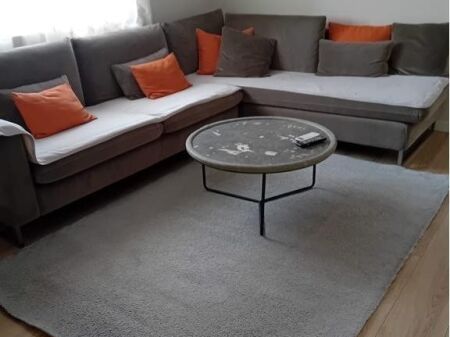 Apartment 1+1 for rent in Ali Dem