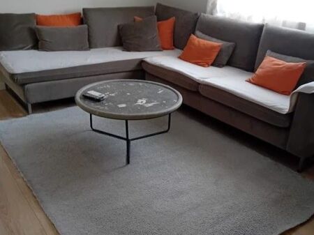 Appartamento 1+1 in affitto a Ali Dem, ospedale continentale