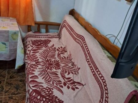 STUDIO 20000 LEKE.DON BOSKO.BAR ARTISTI