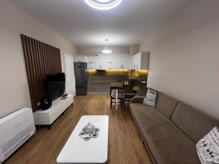 APARTMENT 1+1 WITH SEPARATE KITCHEN FOR RENT IN MYSLYM SHYR 650 € /Month