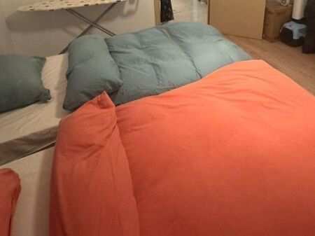 Rent, Villa, Selvia, Tirana