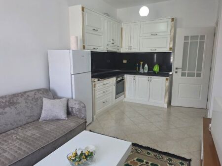 Apartment 1+1 for rent in Fresk