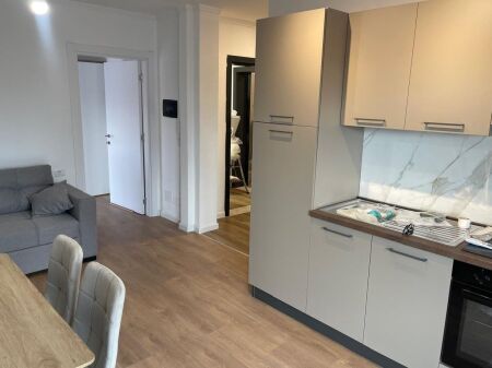 apartament 1+1 me qira ne Shkoze