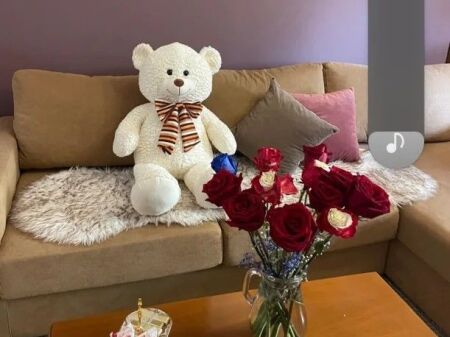 JEPET ME QIRA 1+1 TEK AIR ALBANIA 570 EURO