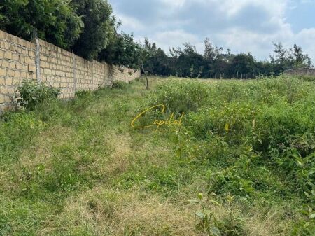 LAND FOR SALE 600 M2 KASHAR 120,000 EURO