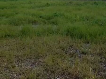 Shitet toke ne Ksamil