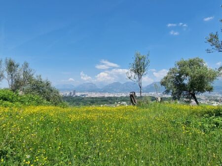 ‼️SHITET TRUALL + PROJEKT + LEJE TEK RRUGA ULLISHTES