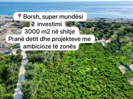 Tokë në shitje në Borsh