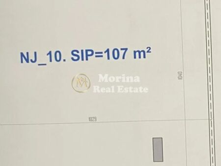 Shitje | Ambjent Biznesi | Kamëz | 235400 €