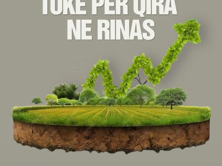 Land for rent, Rinas