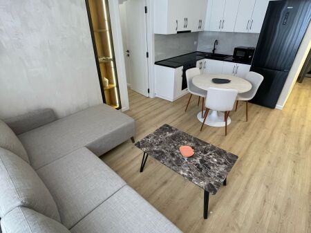 Appartamento 1+1 in affitto, Nuovo Viale