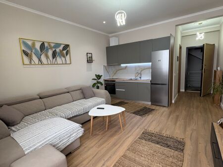 Affittasi appartamento 1+1 arredato a Delijorgji