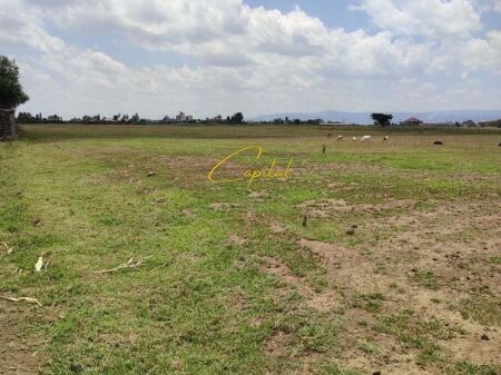 TOKE ME QIRA 1.500 M2 MULLET 100.000 LEKE