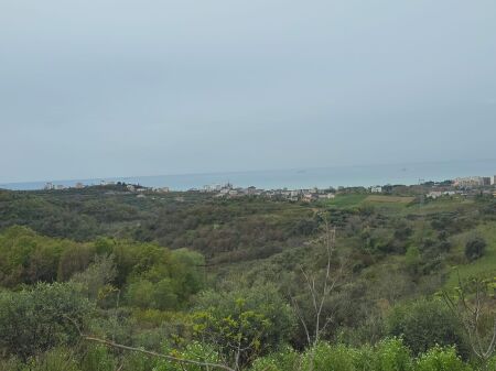 Shitet Tokë  Shtëpi me Pamje nga Deti tek Pema e Jetës – Shkallnur