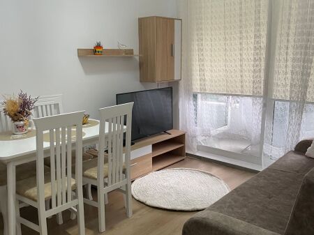 Appartamento 1+1 in affitto