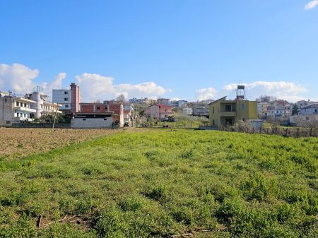 🌿 SHITET TOKË NË SHKALLNUR, DURRËS