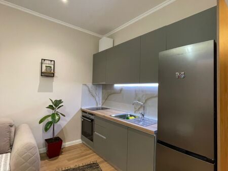 Apartment 1+1 for rent, Delijorgji