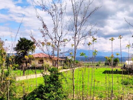 Shitet Truall 1000 m² – Dimal, në rrugën nacionale Dimal–Kuçovë