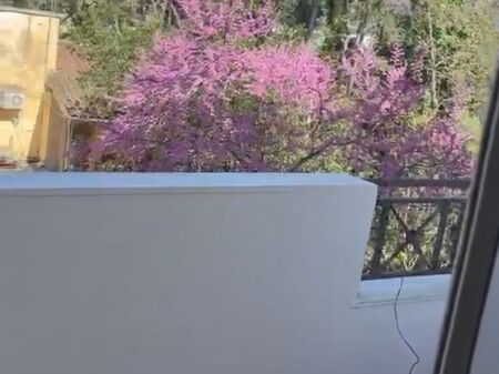 Jepet me qera 1 vjecare apartament ne plazh