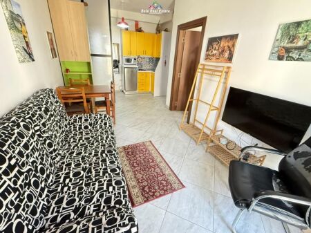 Appartamento In Affitto 1+1 In Via Elbasan ( ID B2101563) Tirana