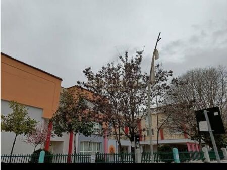 Dyqan per shitje prane Vasil Shanto