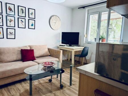 Rent, Apartment 2 + 1, 21 Dhjetori, Tirana