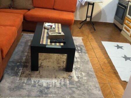 Apartament 1+1 per qira tek Lulishtja tek Komuna e Parisit.