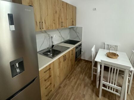 Apartment 1+1 for Rent