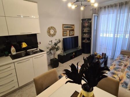 Apartament 1+1 1 1 studio per qira tek Globe, Rruga e Kavajes