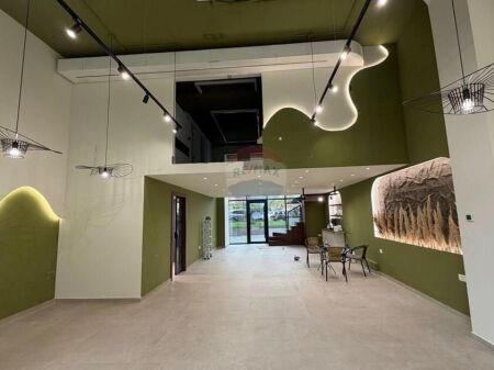 FOR RENT, BUSINESS PREMISES, PORCELAIN, TIRANA ID: 530581007-180