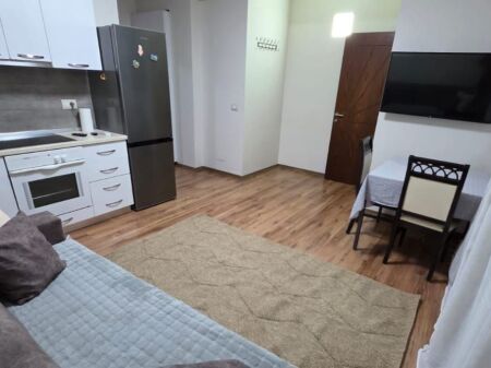 Rent, Apartment 1+1, Sauk, Tirane. Empire67300