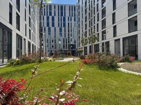 2+1, all'accesso Tirana al bolv oil alla dogana, 188 milioni di lek, in fase di ipoteca