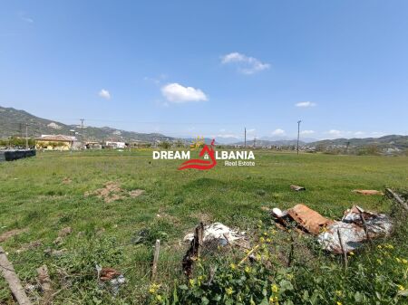 Toke ne Shitje ne Peze Tirane(ID 4191198)