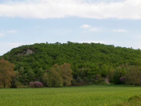 🌿 TOKË PËR SHITJE – AUTOSTRADA TIRANË–DURRËS