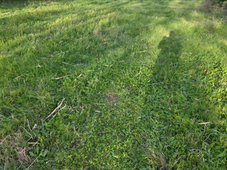 Tale shitet toke + truall