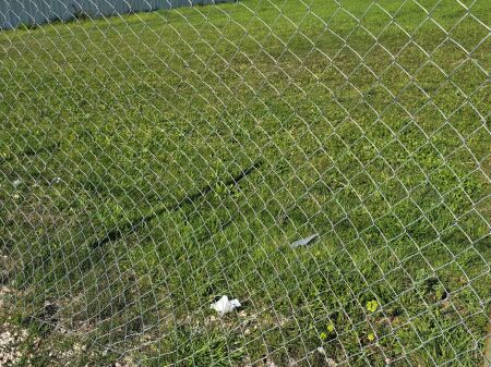 SHITET TOKË NË KAMEZ