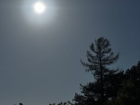 Kerkohen shoqe per ndarje qeraje