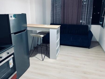 Apartment 1+1 for rent in Astir