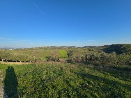 SUPER TOKE OKAZION PER SHITJE,  PEMA E JETËS,  SHKALLNUR