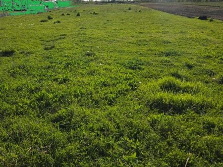 Land for sale in Barbullojë, Lezhë