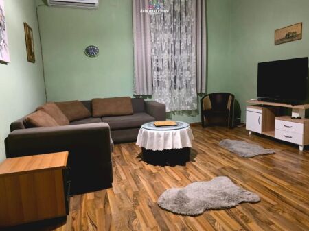 Vile Me Qera 1+1 Ne Myslym Shyr ( ID BV22570) Tirane