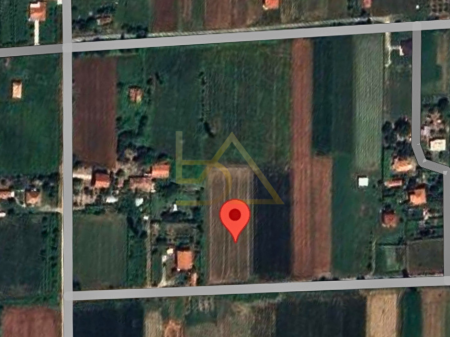 Land for Sale – Shënkoll, Lezhë