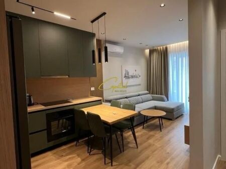 APPARTAMENTO IN AFFITTO 1+1 ALI DEMI 530 EURO