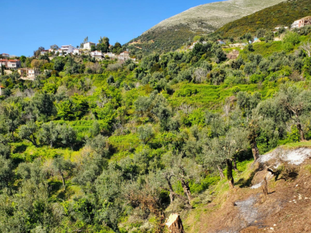 Shitet Tokë – Lukovë, Sarandë