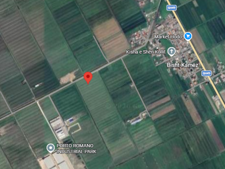 SHITET TOKE NE BISHT KAMEZ, DURRES