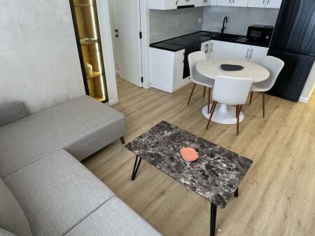 Appartamento 1+1 in affitto, Nuovo Viale