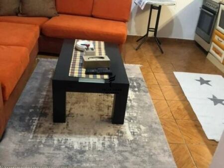 APARTMENT FOR RENT 1+1 PARIS MUNICIPALITY 50,000 LEKE FH-69077