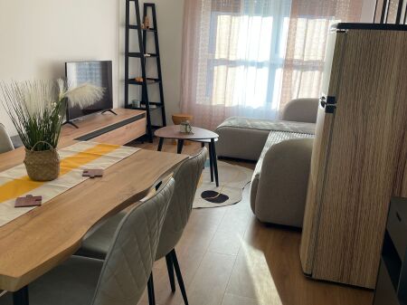 Apartament 1+1 me qira