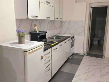 1+1 for rent in Myslym Shyr