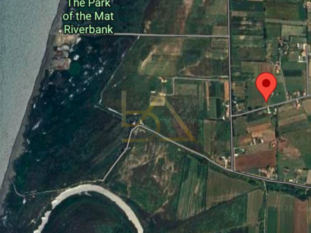 Shitet Tokë – Tale 2, Lezhë